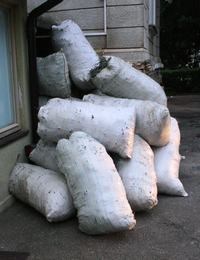 Slika vijesti/2014/Smilje-Opatija (1).JPG